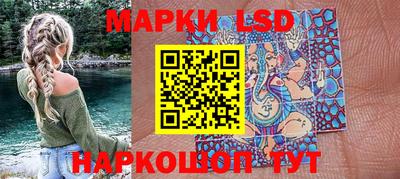 Альфа ПВП Ставрополь