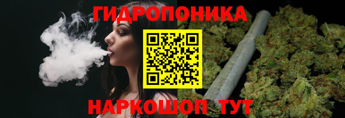 Канабис White Widow  Бошки марихуана семена  Бошки Шишки планчик  Мурманск  Вход с VPN 